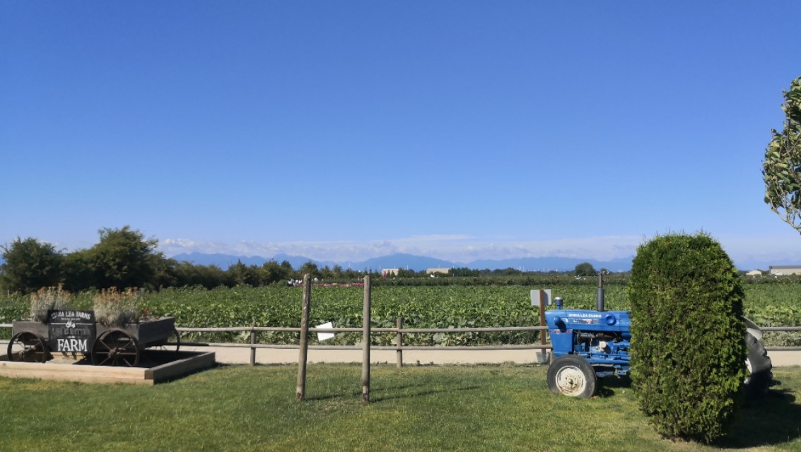 一家三口温哥华一年生活费,一家三口在加拿大的生活费用