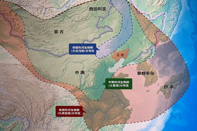 哪些恐龙是在辽西发现的化石,恐龙化石里可以提取恐龙的dna吗