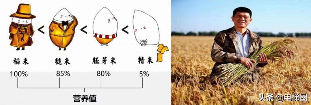 东南电梯与康力电梯,东南电梯联动试验