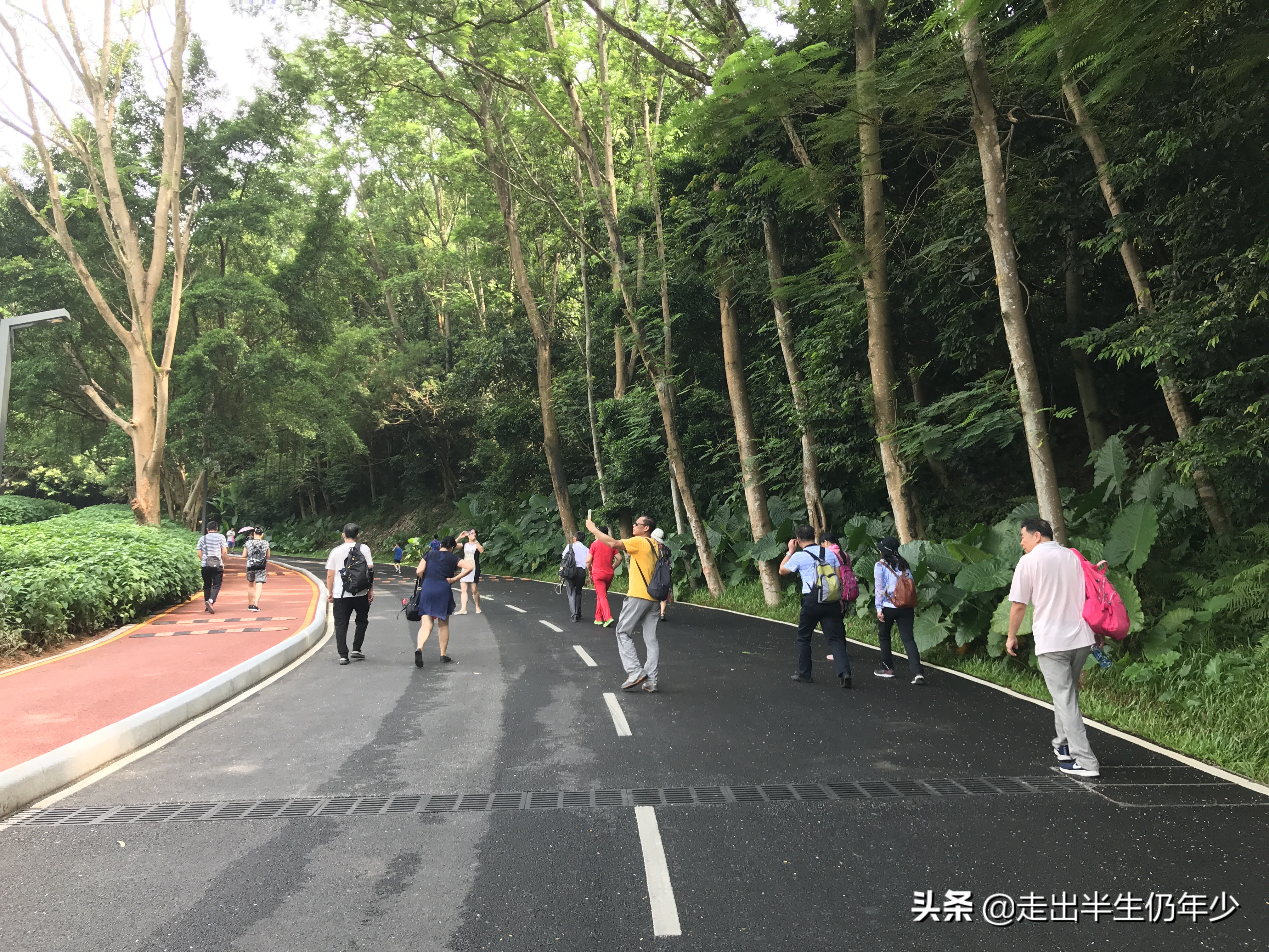 淘金山求水山徒步线路,从求水山公园怎样进入淘金山绿道