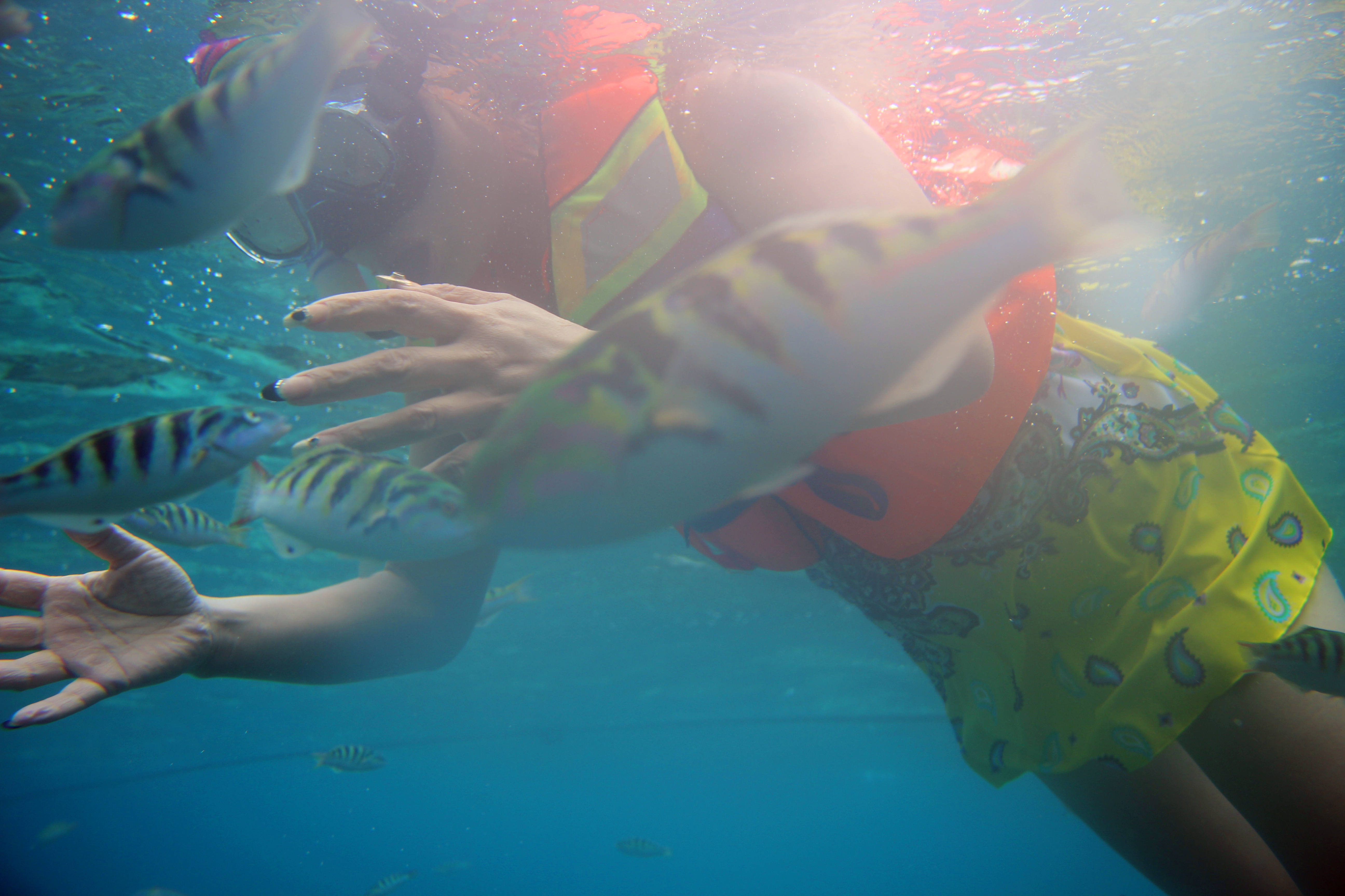 天堂之岛巴厘岛,天堂之岛巴厘岛旅游