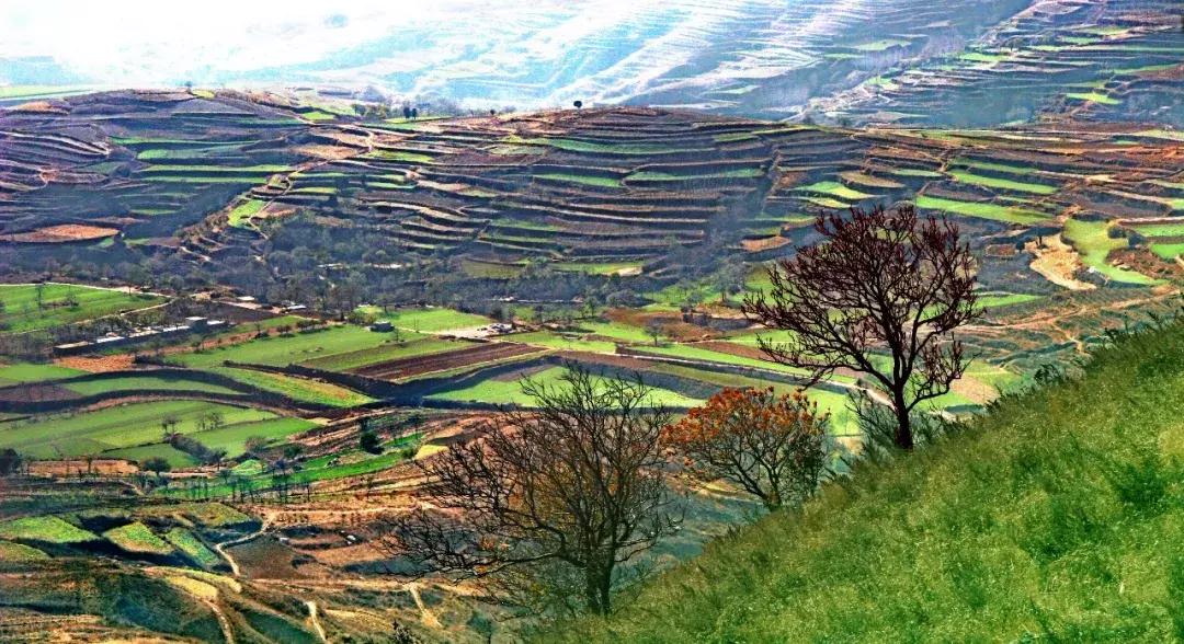 向外国人介绍郑州,郑州新郑市简介