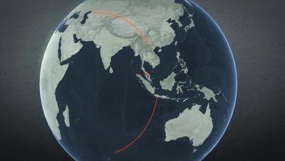 马航mh370航班真实故事,马航mh370上的真实故事