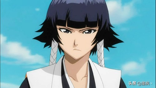 死神护庭十三番队详细介绍,死神护庭十三队长