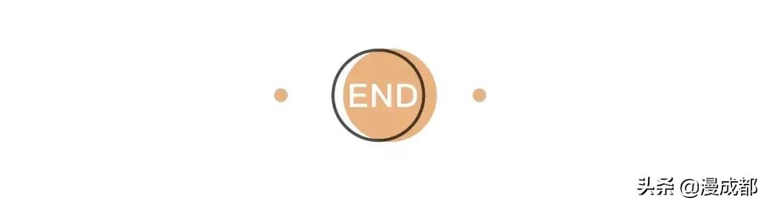 未来猫是什么品种,未来猫简介