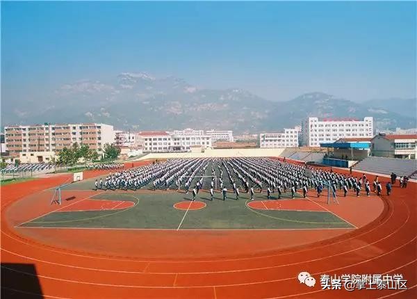 泰山双语学校招聘教师,泰山外国语学校老师招聘