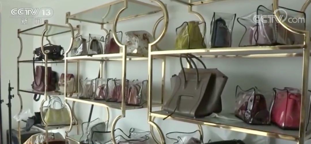 蚂蚁案件真实案例,蚂蚁搬家走私获利上百万