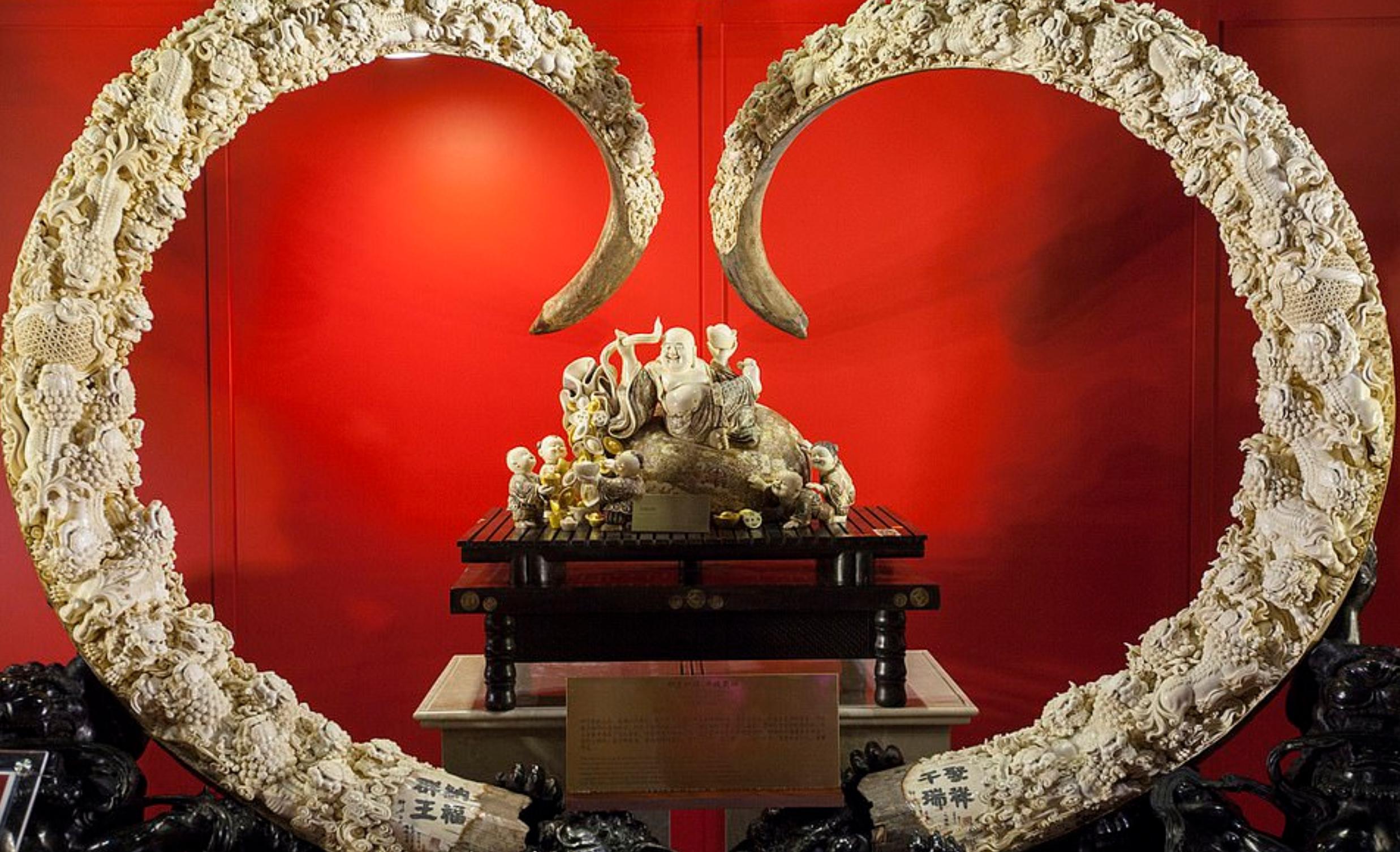 中国挖掘猛犸象牙,战斗民族挖到冰面