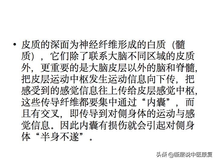 中枢神经系统断层解剖讲解,中枢神经3d解剖动画