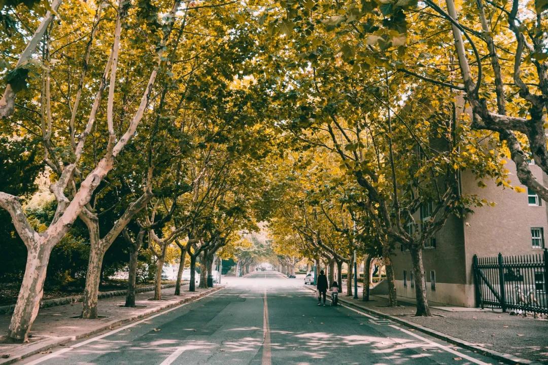 美过三亚!比厦门浪漫!中国这座海滨老城,去一次相当于环游世界