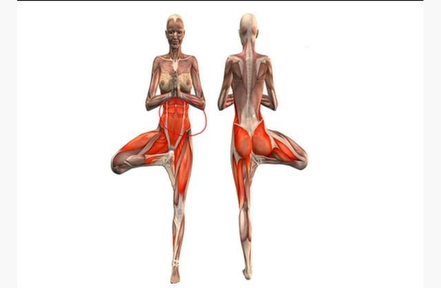 瑜伽后仰支撑式脚尖踩不下去,练了一年瑜伽树式还是站不稳