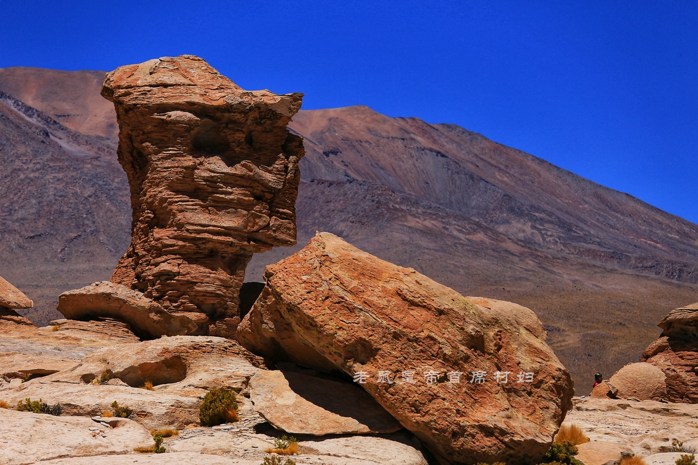 玻利维亚只看天空之镜？七彩湖火烈鸟4层楼高的仙人掌更精彩