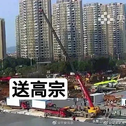 最新野生文案大全,看野生动物发的文案