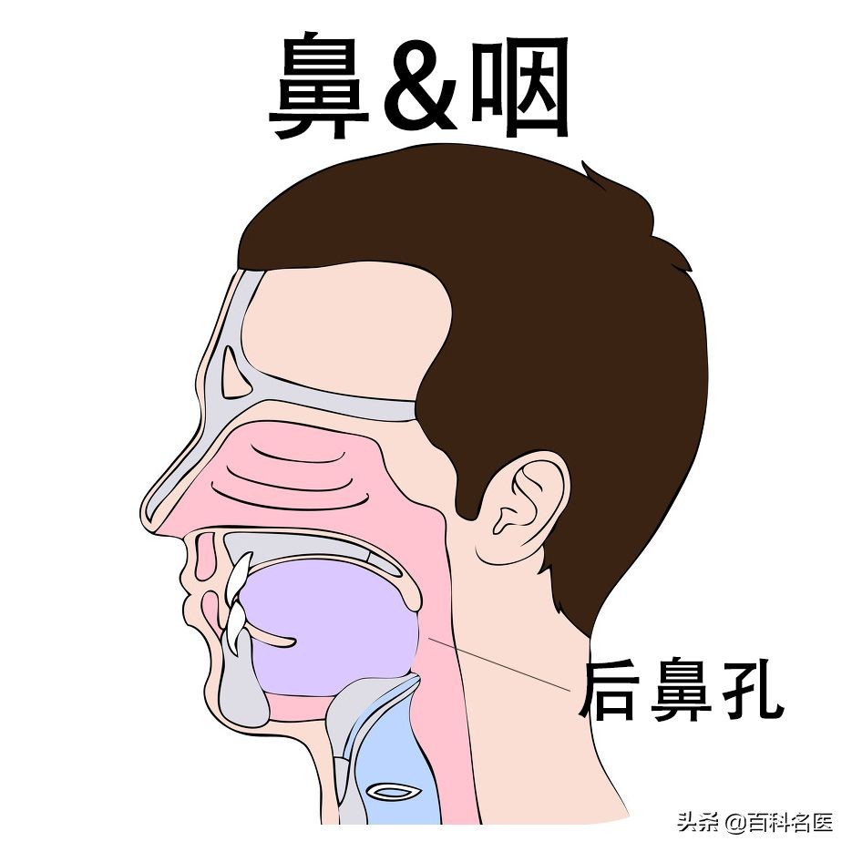 咽炎鼻炎咳嗽得很厉害怎么办,鼻炎刺激性咳嗽吃什么药