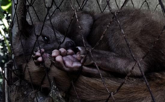 为什么有人爱喝一股霉味的茶,为什么有人喝咖啡追求酸