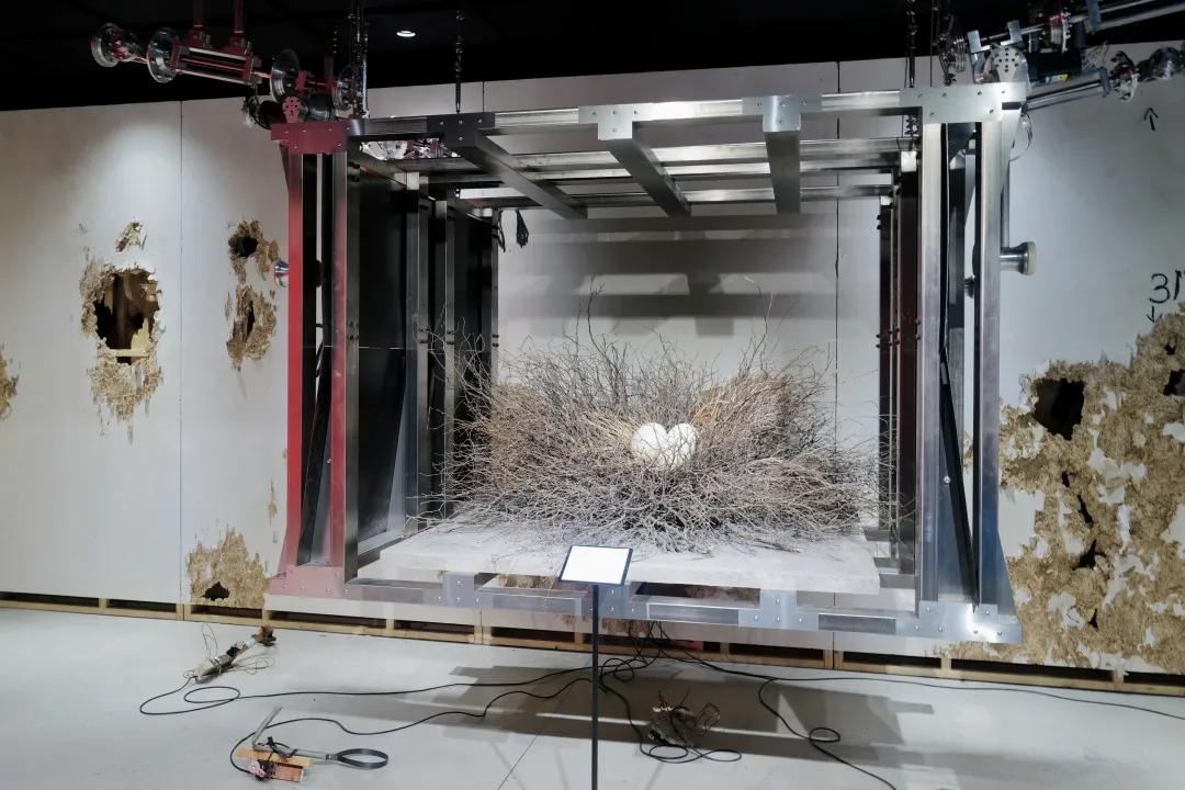 别争了,这条马路才是魔都内卷之王