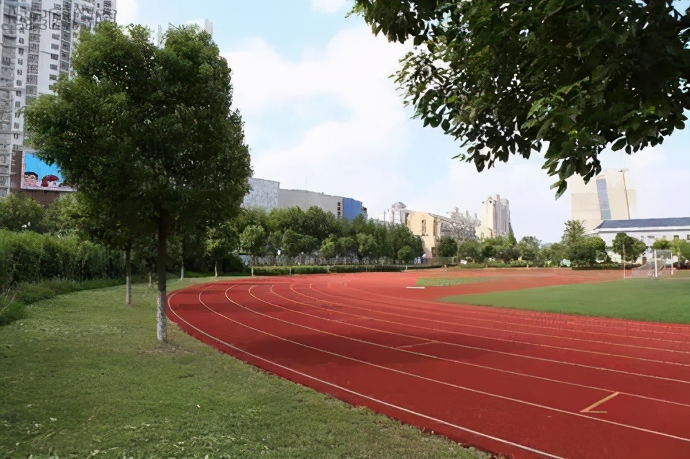 三年级语文期末必考的作文范文,三年级五单元试卷作文