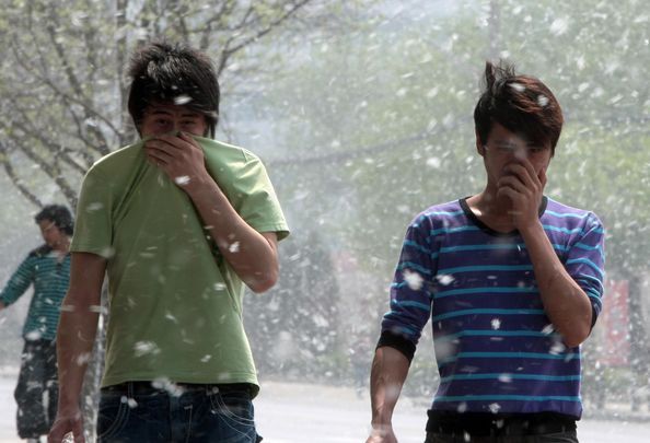 璋堣姳璇磋崏,璋堣姳璁鸿崏