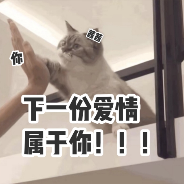 优秀了就能脱单？大白天的，做梦呢？