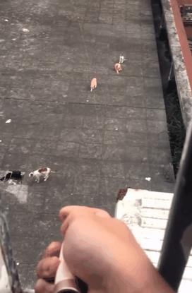 真心话大冒险输了剧情,真心话大冒险认真就输了