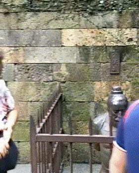 搞笑gif狗子我为这个家操碎了心,搞笑gif图片狗子都开始学坏了