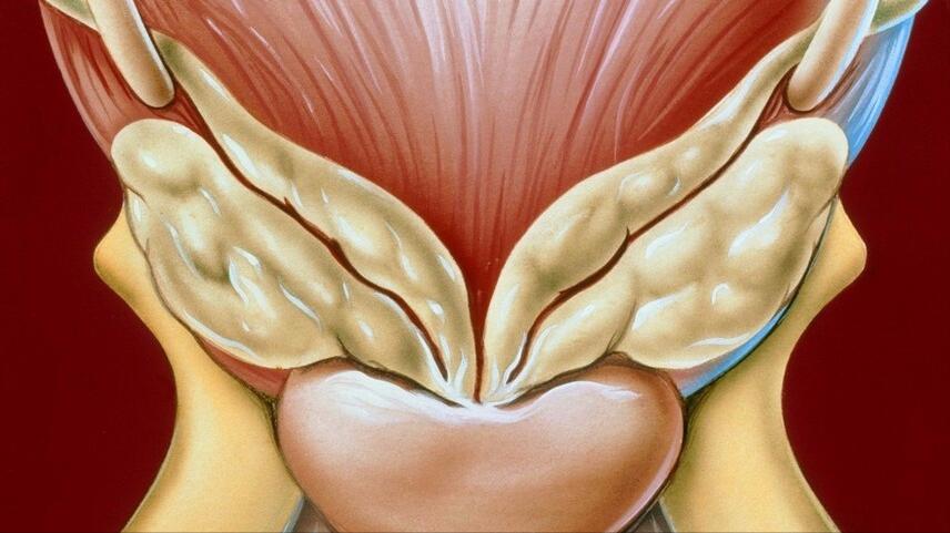 性的科学——“血精”有多可怕？从西门庆之死谈谈精囊炎