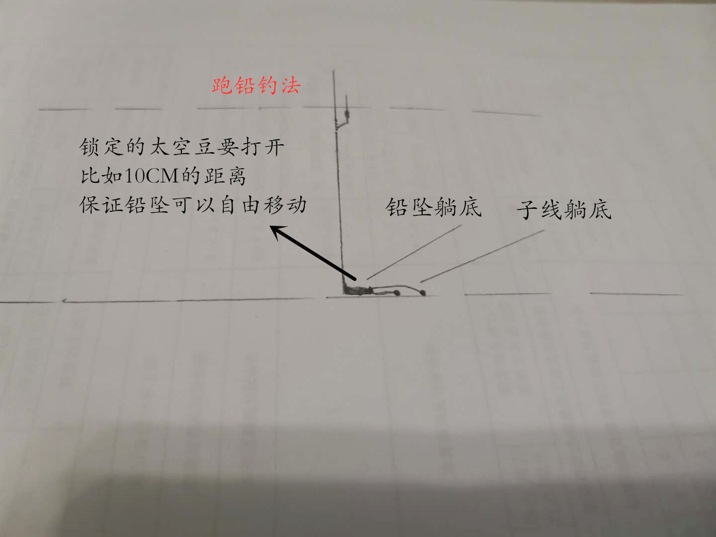野钓鲮鱼调漂最佳方法,钓鲮鱼台钓调漂的正确方法