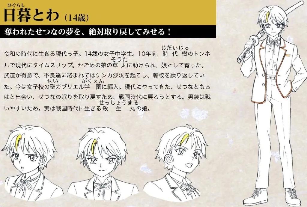 犬夜叉第二部杀生丸女儿,犬夜叉杀生丸长大后的样子