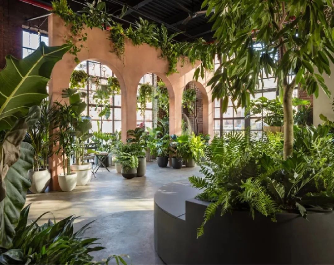 科普五朵金花抖音,成都五朵金花之实验小学