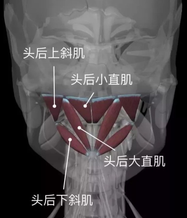 经常低头看手机的颈椎怎么矫正,抬头看手机对颈椎有好处吗