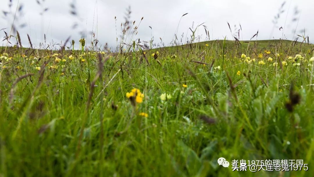 阿尼玛卿山是苯教神山吗,阿尼玛卿神山传说故事