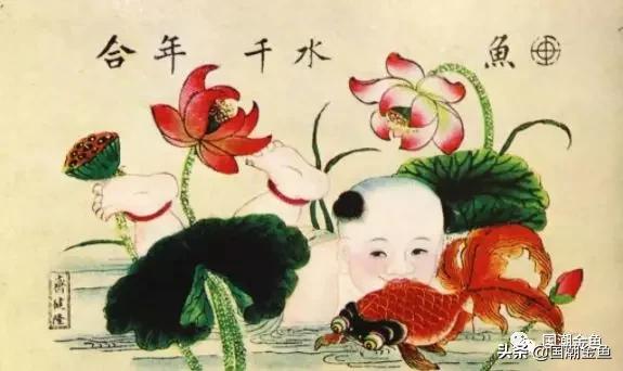 恭祝新春，过年家中养它——中国的“吉祥物”！寓意金玉满堂