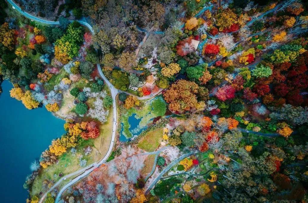 华溪堂焕颜美肌,华溪堂和华颜美肌的区别是什么