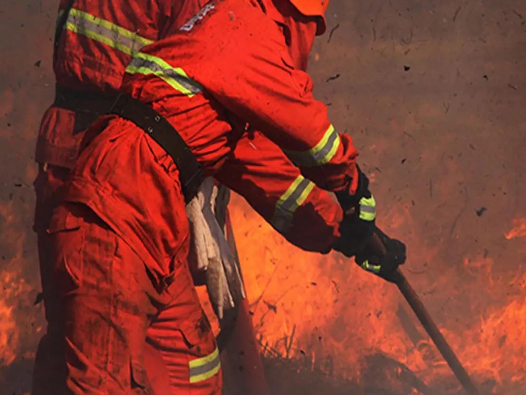 海藻纤维的抗菌性优点,海藻纤维的创新意义