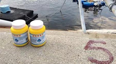 南美白对虾肠道发红怎么回事,白对虾肠道粪便弯曲怎么处理