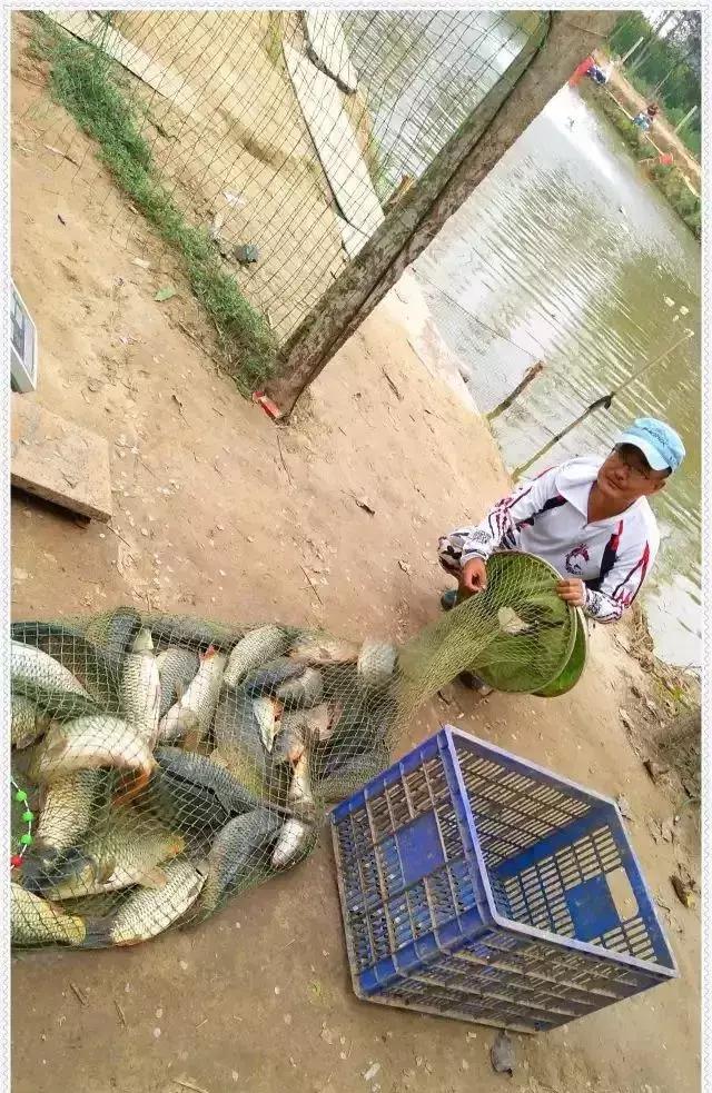 2019年野钓笔记,2020年的钓鱼总结