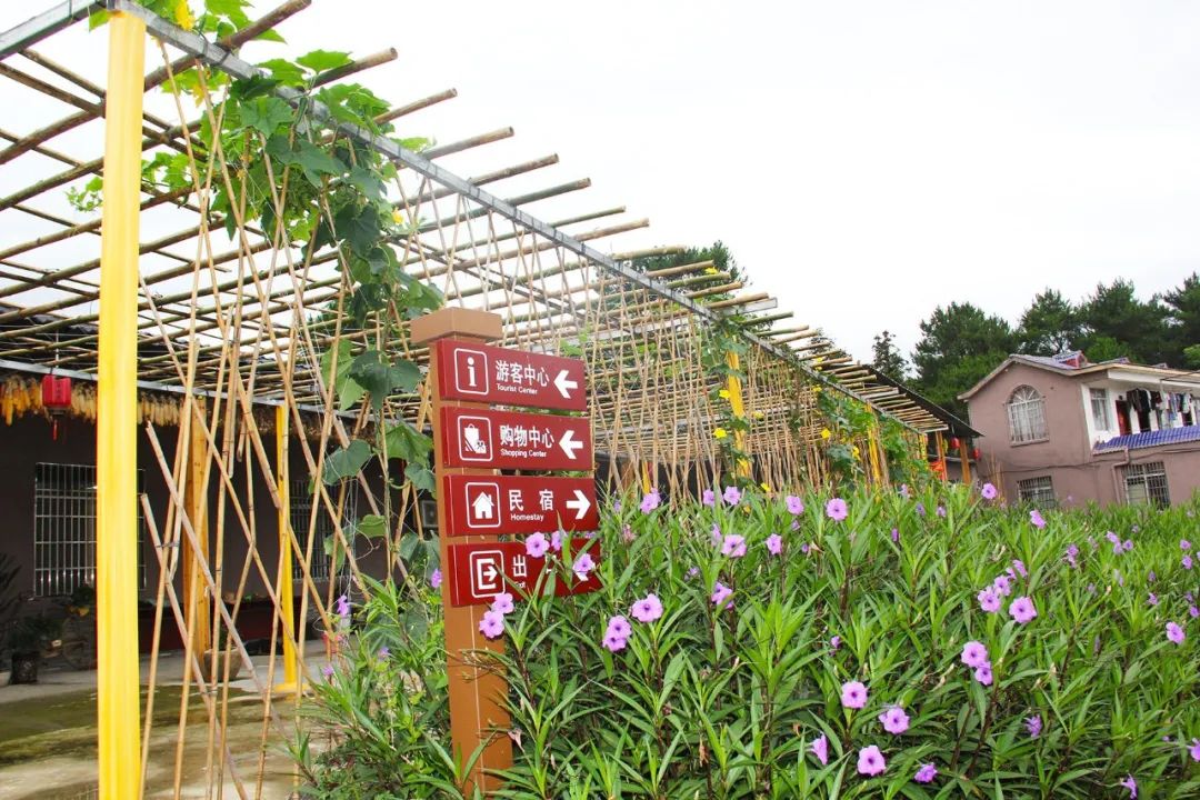 钟山水墨画廊附近旅游攻略,钟山水墨画廊自驾游