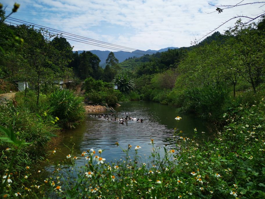 疫情过后娱乐行业重创,疫情过后旅游业的反弹