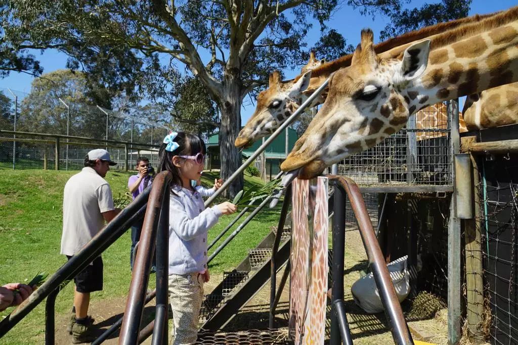 美国亲子游学营,海边亲子游学项目