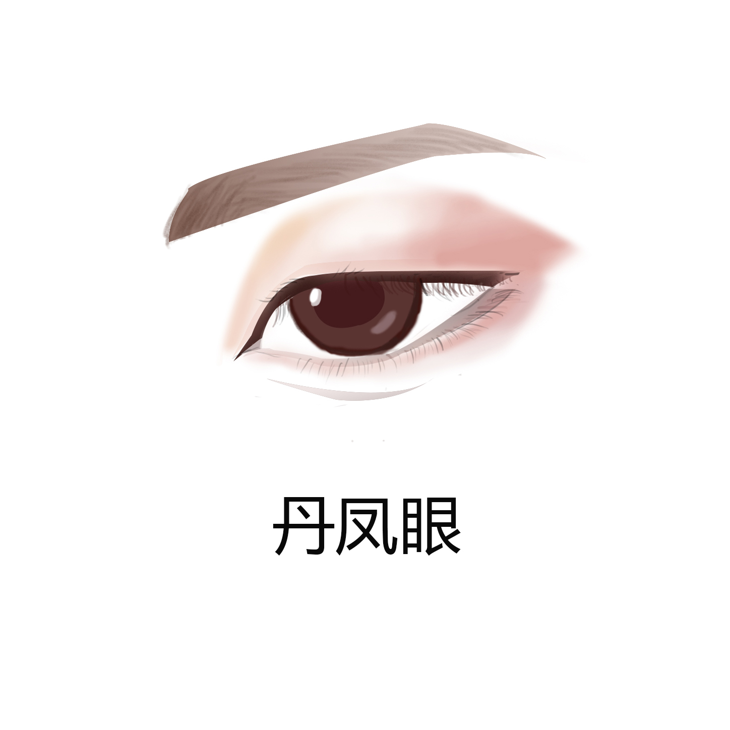 判断眼型的app,如何判断自己的眼型小测试