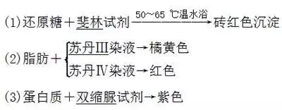 高中生物实验方法归纳图怎么画的,高中生物实验专题归纳