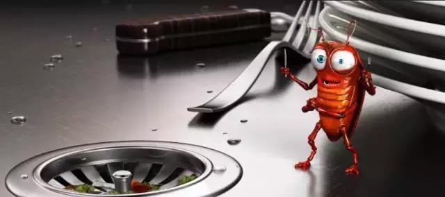 灭蟑螂的最好方法家里有很多蟑螂,家里蟑螂怎么灭