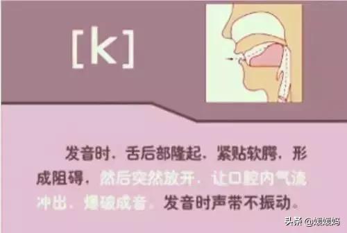 音标教学视频48个快速记忆法,英语48个音标发音教程视频