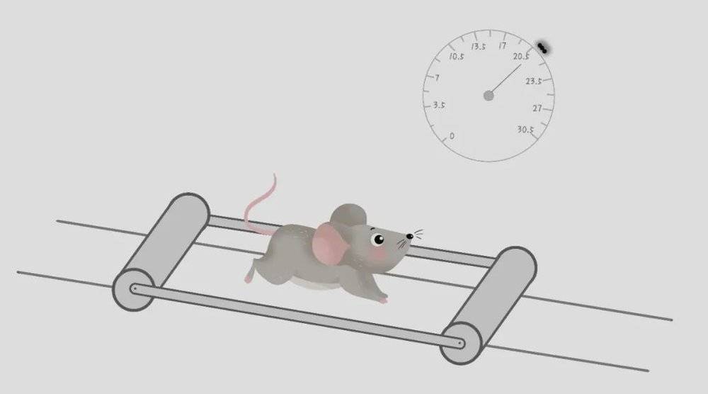 人类大脑导航,人类大脑的思维信号可以捕捉到吗