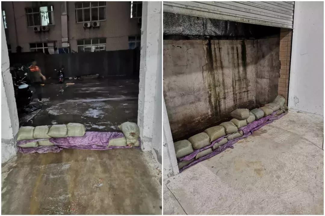 风里雨里陪伴你一路前行,风里雨里陪你前行