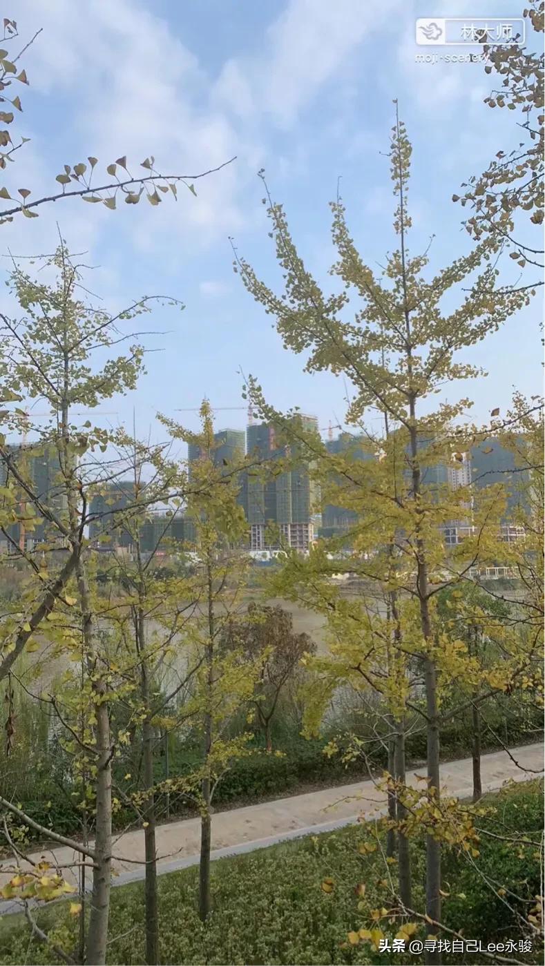 请允许我介绍我的家乡英语,让我介绍我的家乡作文