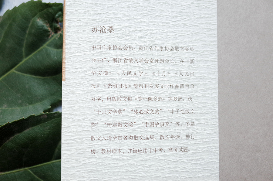 苏沧桑《纸上》,《纸上》苏沧桑