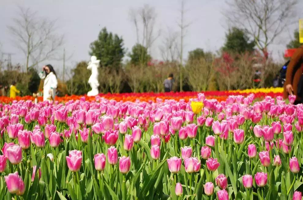 几十块钱玩一天,几十块钱玩一天天津