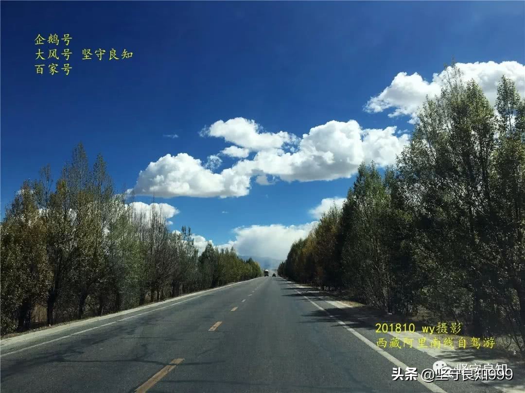 阿里大环线西藏圆梦之旅,西藏阿里南线7天详细攻略