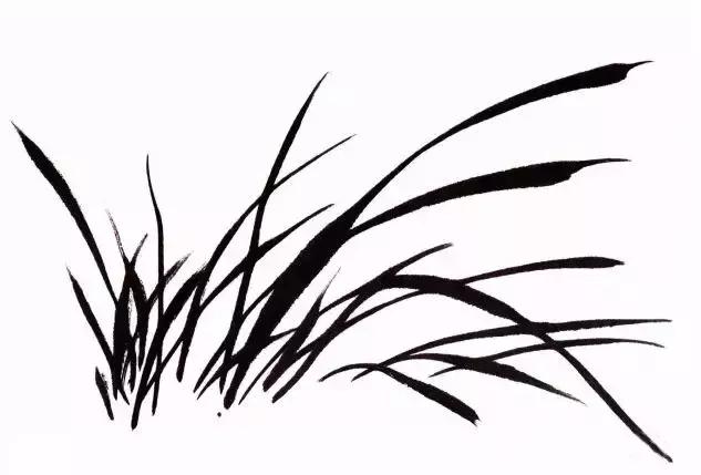 徐湛国画兰花的画法,徐湛国画兰花的画法视频教学